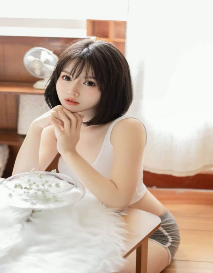 過爐載具(jù)